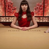 스피드 바카라 T game thumbnail